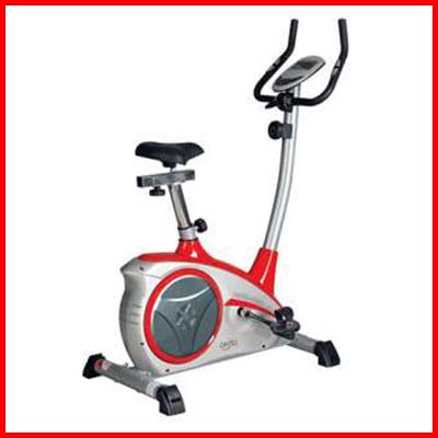 GINTELL Magnetic Fitness Bike KLJ860