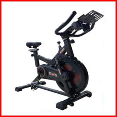 BIOSYS 636 Model Multi-Function Indoor Fitness Exercise Bike