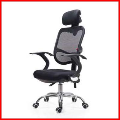 Eden’s Ergonomic Office Chair