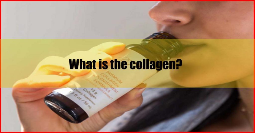 What is the collagen Malaysia
