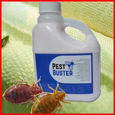 Bed Bug Pest Buster Malaysia