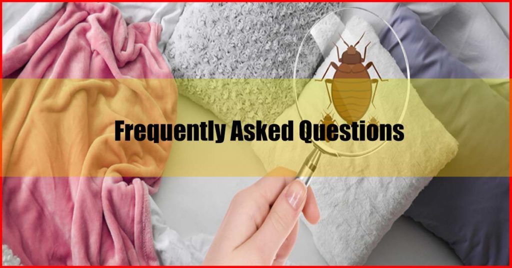 How to Get Rid of Bed Bugs Fast Malaysia FAQs