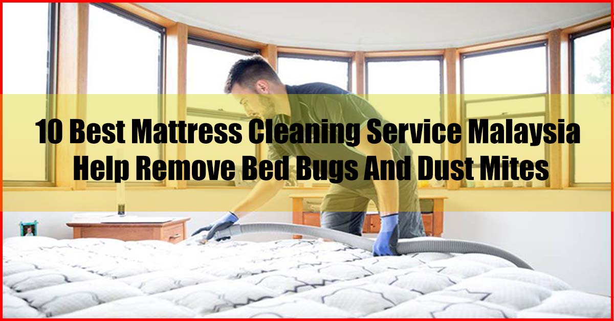 10 Best Mattress Cleaning Service Malaysia Remove Bed Bugs Dust Mites