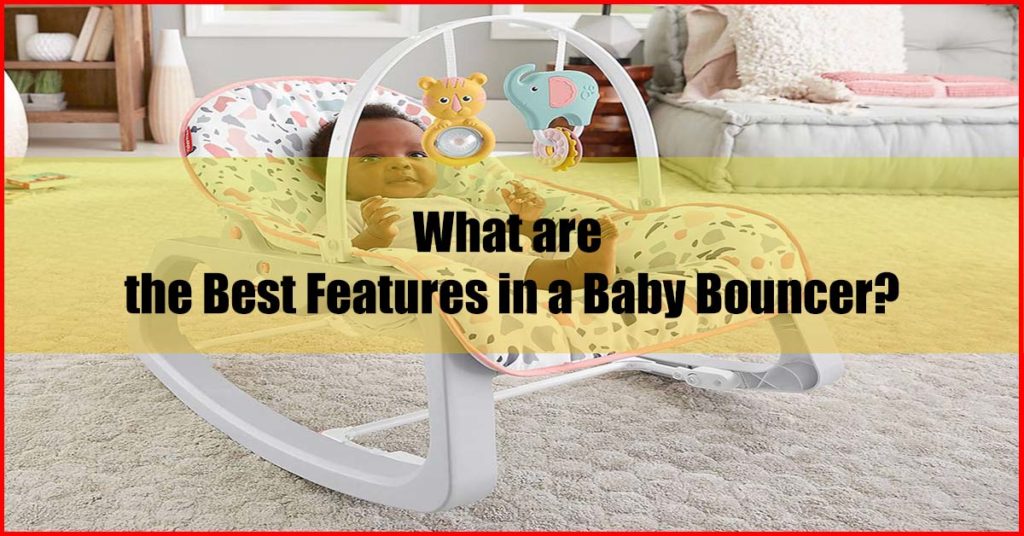 What are the Best Features in a Baby Bouncer Malaysia
