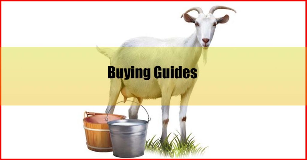 Best Goat Milk Malaysia Buying Guides