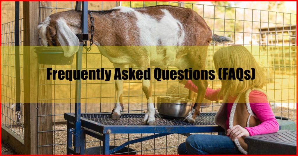Best Goat Milk Malaysia FAQs
