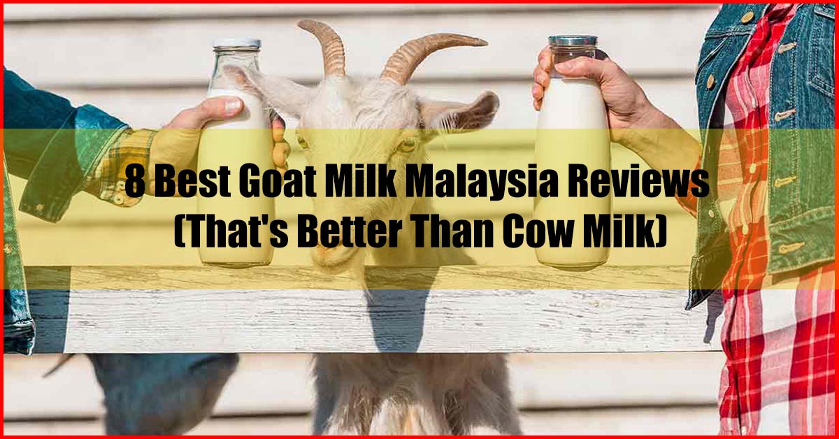 8 Best Goat Milk Malaysia Reviews (Better Than Cow Milk)