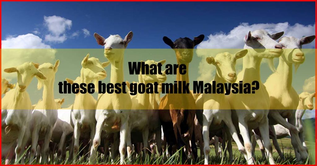What are these best goat milk Malaysia