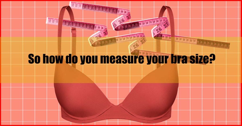 how do you measure your bra size