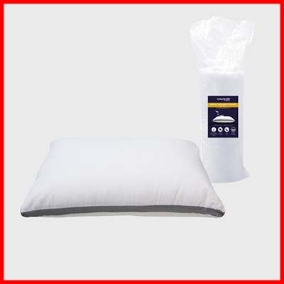 Goodnite Hotel 100% Microfibre Soft Like Down 1300g Pillow