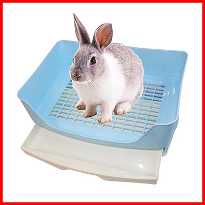 Carno Litter Box (Recommended Product)