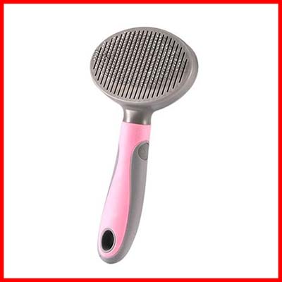 Pet Hair Remover Brush (Recommended Products)