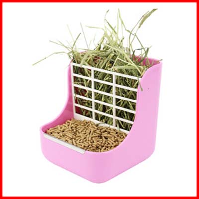 Rabbit Feeder (Recommended Products)