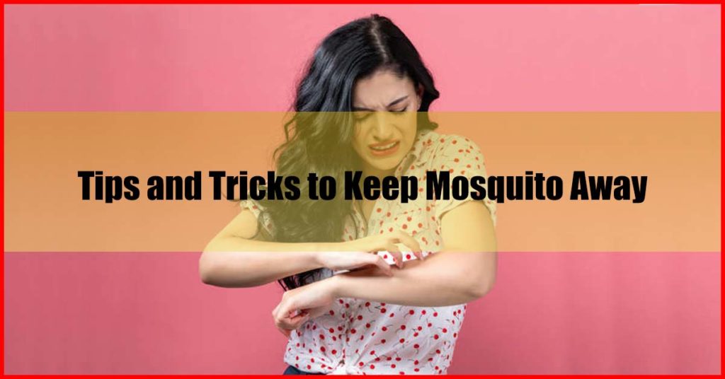 Tips and Tricks to Keep Mosquito Away