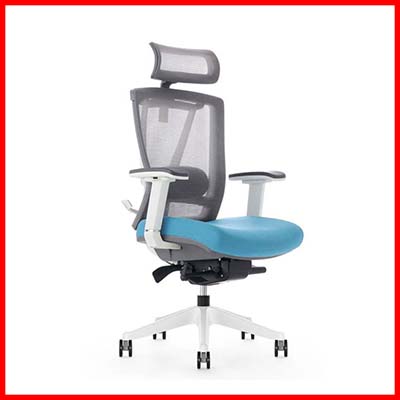 FLEXISPOT ErgoChair 2.0 Ergonomic Chair