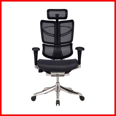 ErgoActive FLY Ergonomic chair