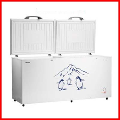 Hisense Chest Freezer Twin Door 550L