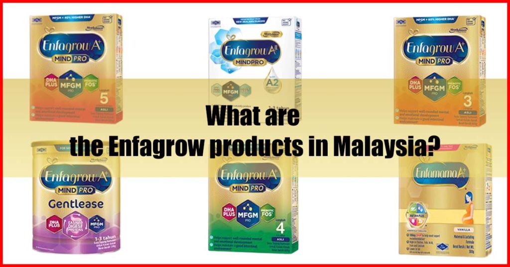 What are the Enfagrow products in Malaysia