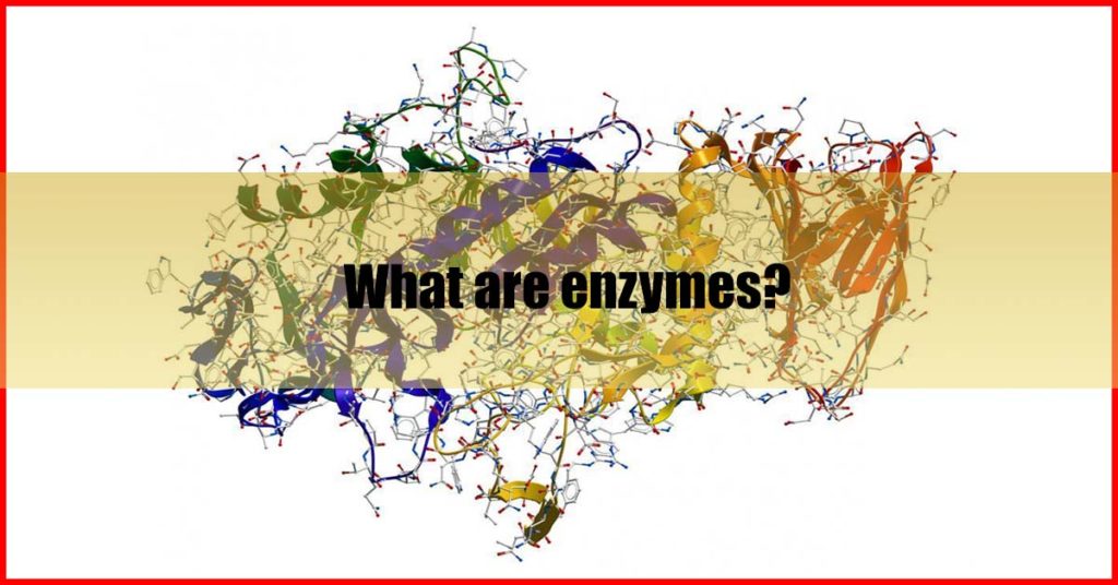 What are enzymes Malaysia
