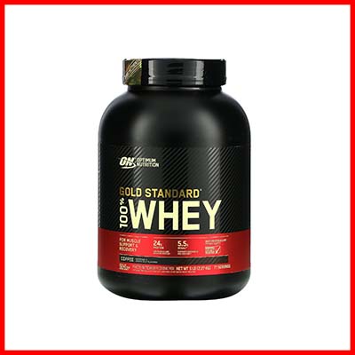 Optimum Nutrition Gold Standard Whey Protein 5.5 lbs - Double Rich Chocolate