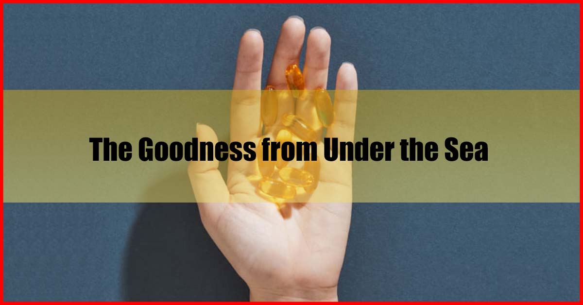 10 Best Fish Oil Brand in Malaysia (Expert Picks)