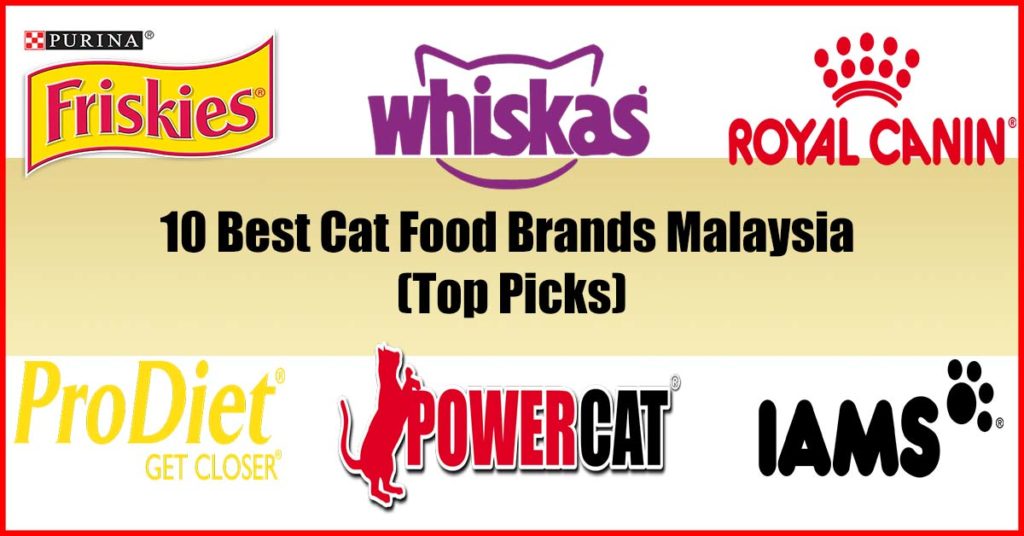 10 Best Cat Food Brands Malaysia Top Picks 