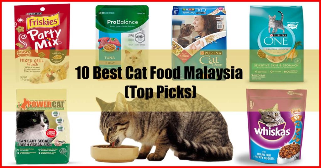 Top 10 Best Cat Food Malaysia Review