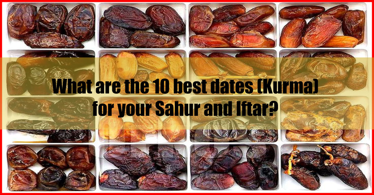 What are the 10 best dates (Kurma) for your Sahur and Iftar