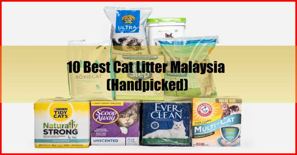 10 Best Cat Litter Malaysia (Handpicked Cat Litters)
