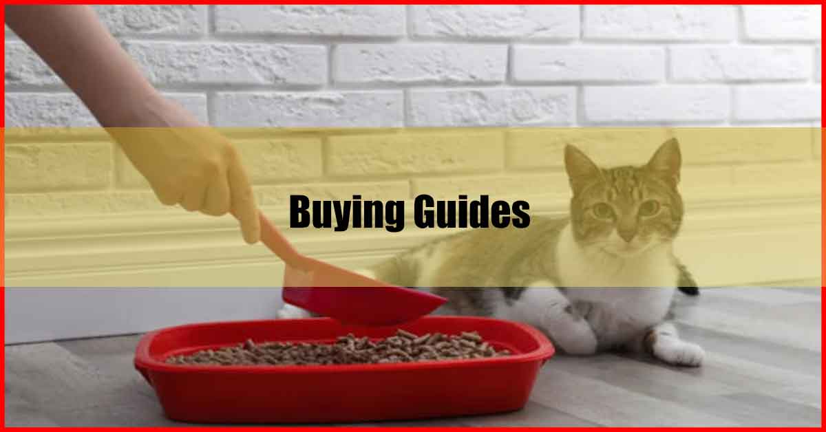 Best Cat Litter Malaysia Buying Guides