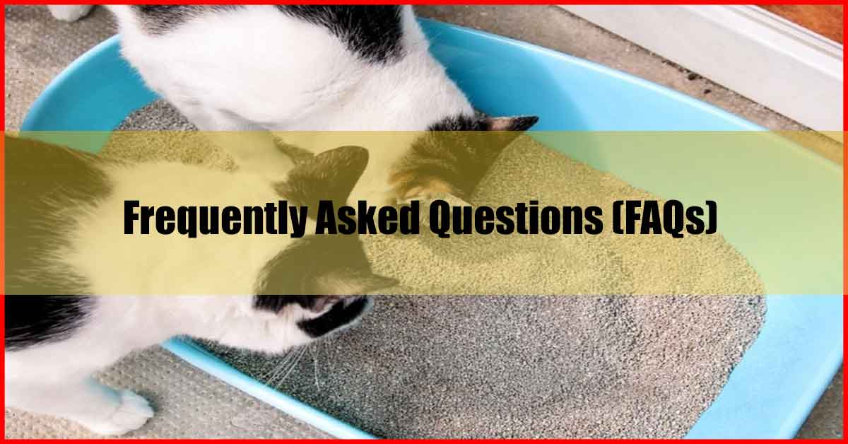 Best Cat Litter Malaysia FAQs