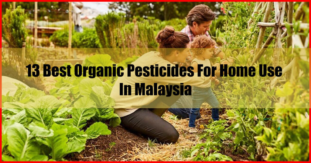 13 Best Organic Pesticides For Home Use In Malaysia