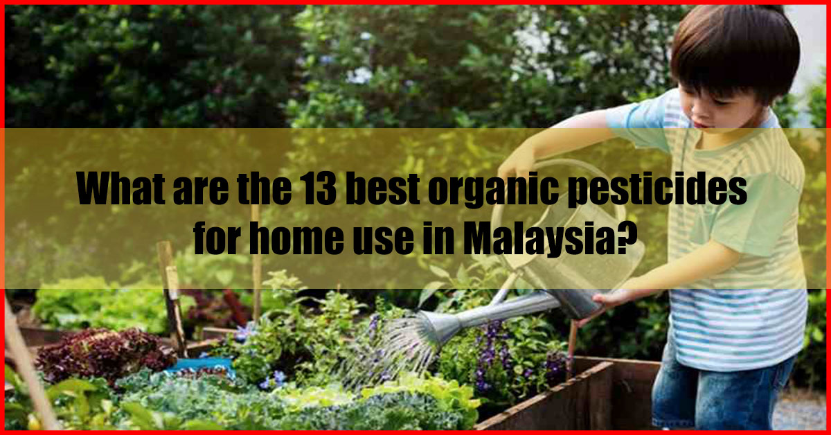 What are the 13 best organic pesticides for home use in Malaysia