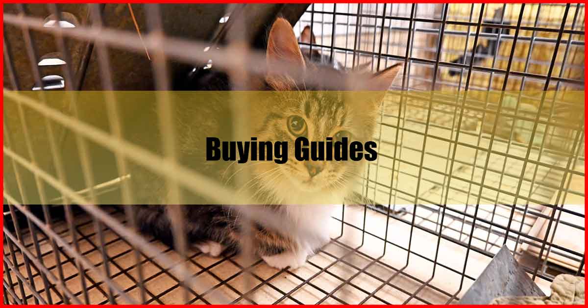 10 Best Cat Cage Malaysia Buying Guides