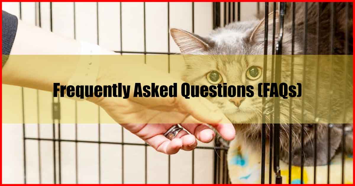 10 Best Cat Cage Malaysia FAQs