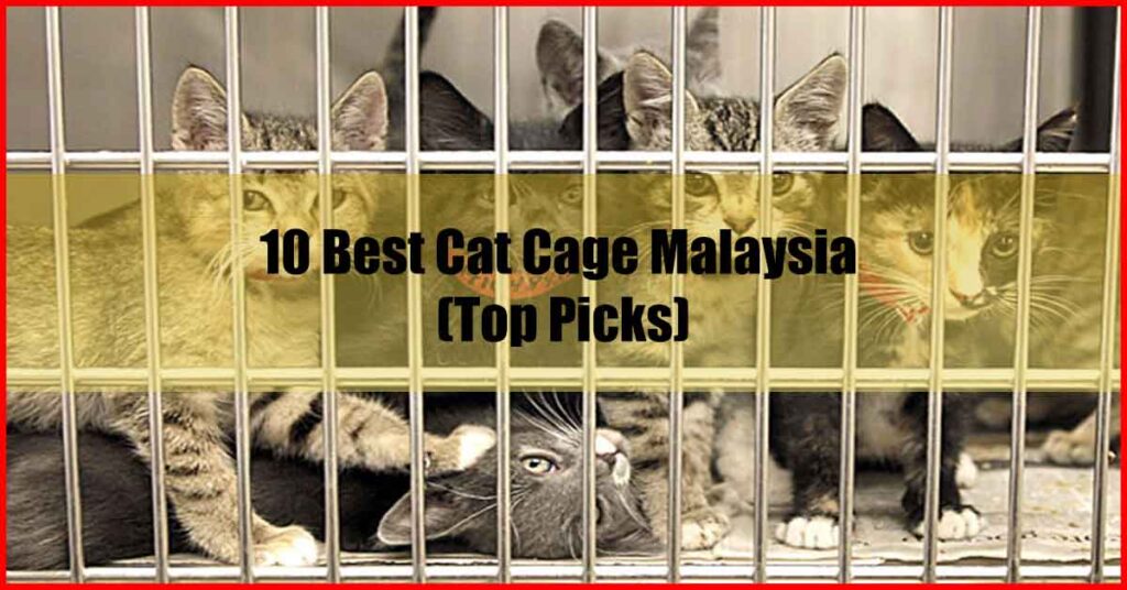 10 Best Cat Cage Malaysia (Top Picks)