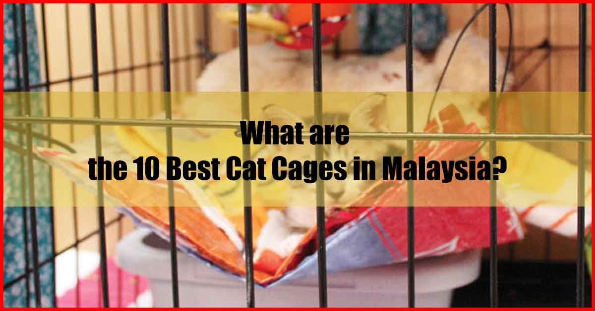 What are the 10 Best Cat Cages in Malaysia